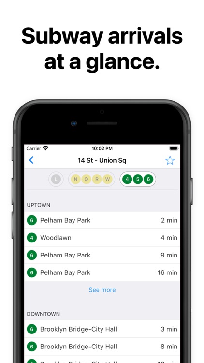 Subway Time NYC screenshot-4