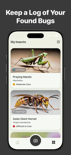 Insect Bug Identifier | BugPic screenshot 4