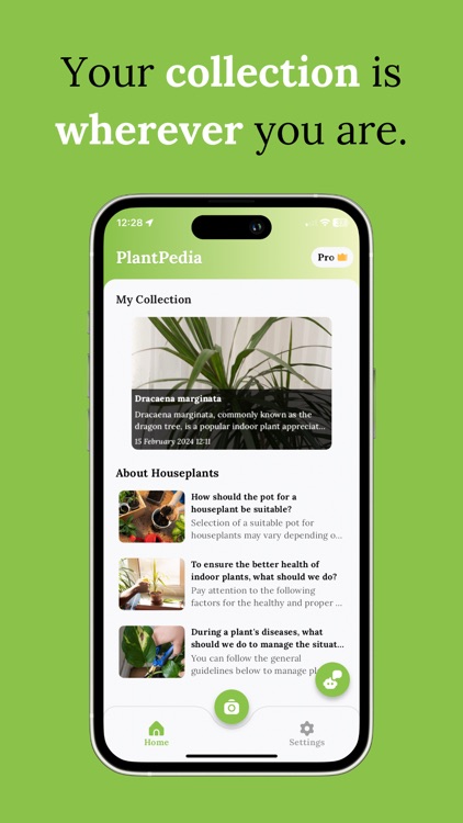 PlantPedia - Plant Identifier