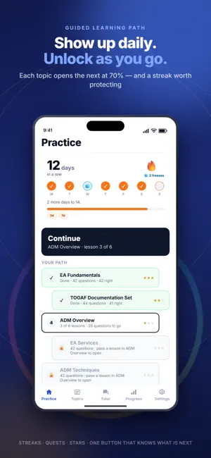 TOGAF 10 Practice screenshot 1