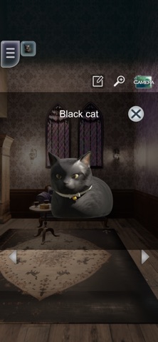 Black Cat Halloween: Escape screenshot
