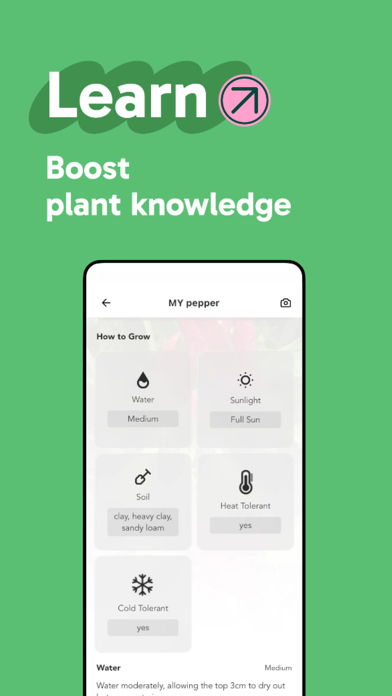 Palmstreet - Buy Plants Live Screenshot