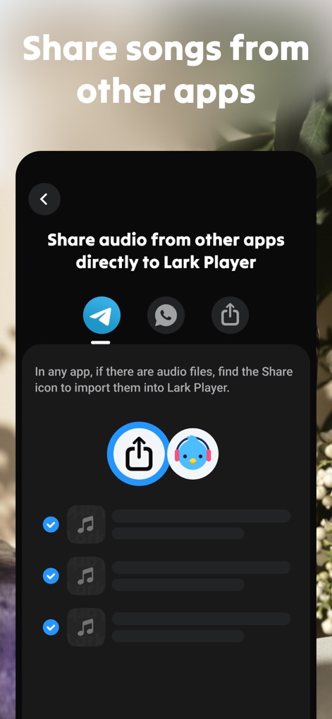 Lark Player: Offline Music - Understand how the app facilitates importing audio via universal 'share icons' and supports selecting multiple audio files for seamless integration.