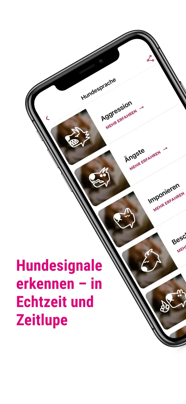 Screenshot #2 pour DogDict – Hundelehrvideos