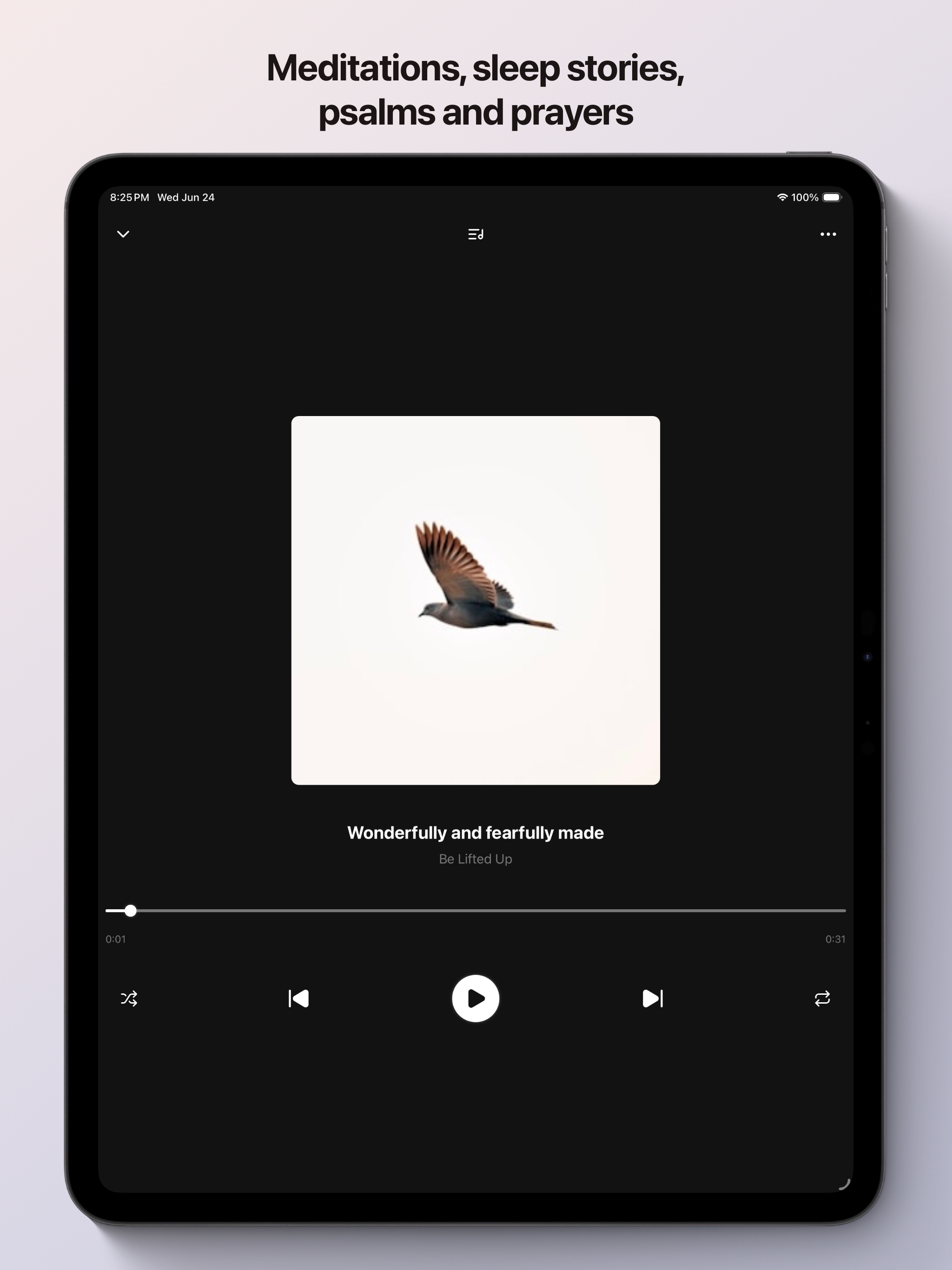 Hisvoice screenshot 4