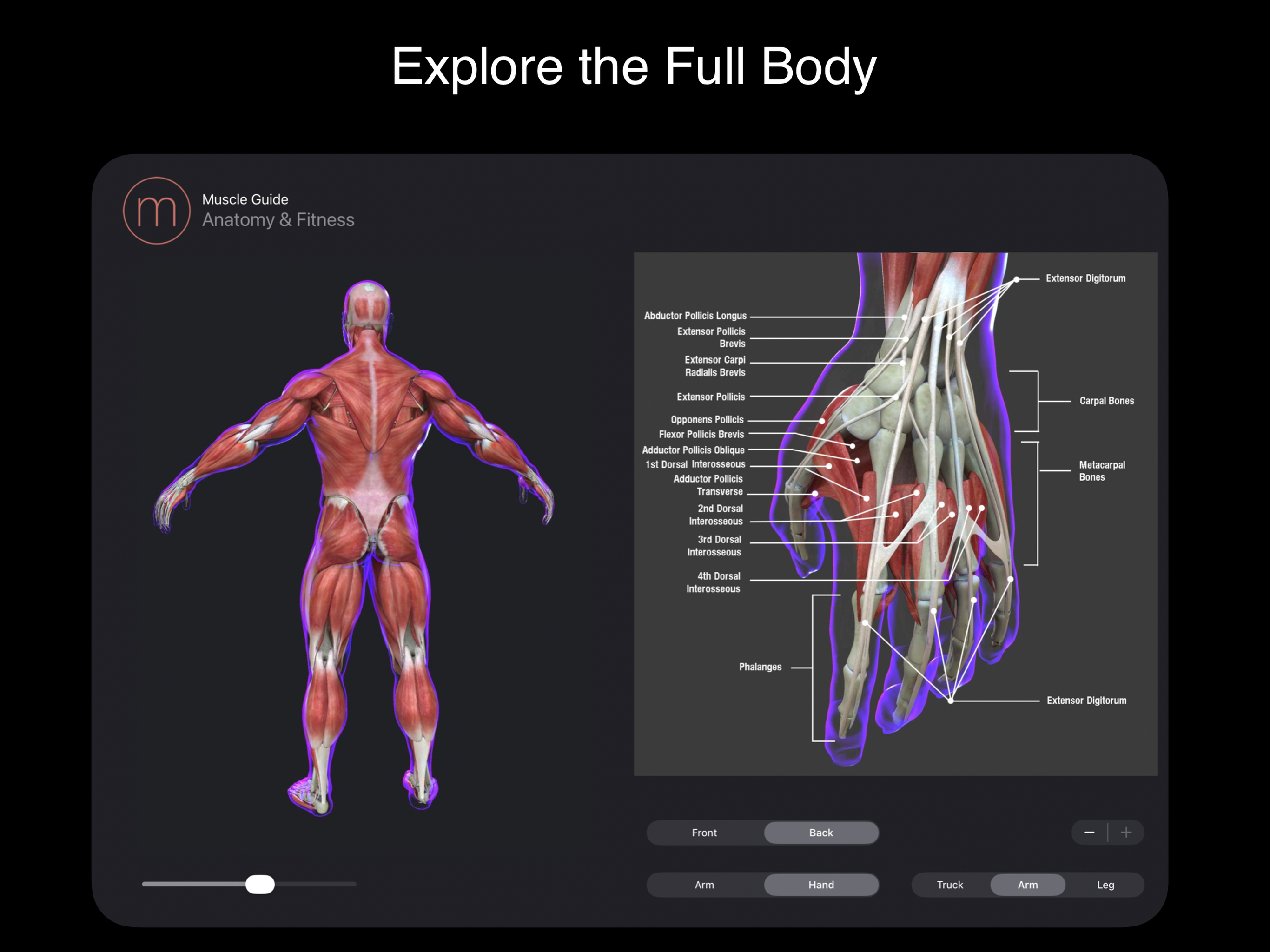 Fitness Muscle Guide screenshot 7