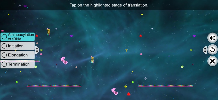 Translation in Prokaryotes