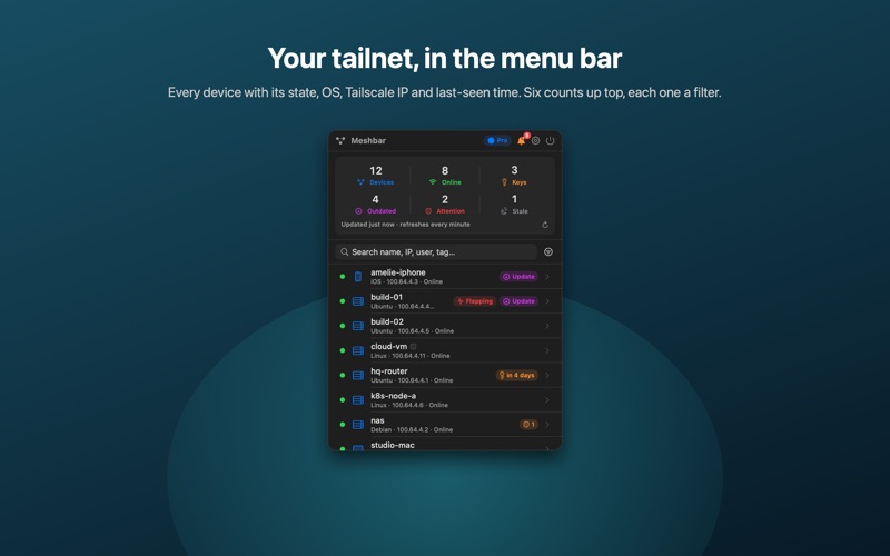 Meshbar: Tailnet Monitor screenshot 1