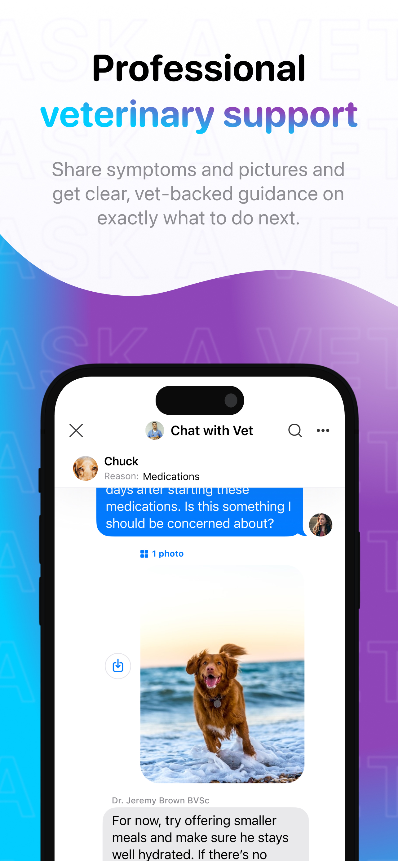 Ask A Vet
