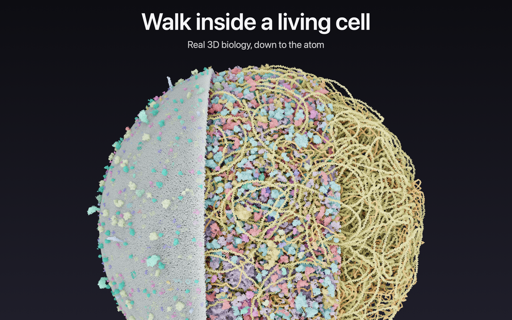 CellWalk screenshot 14