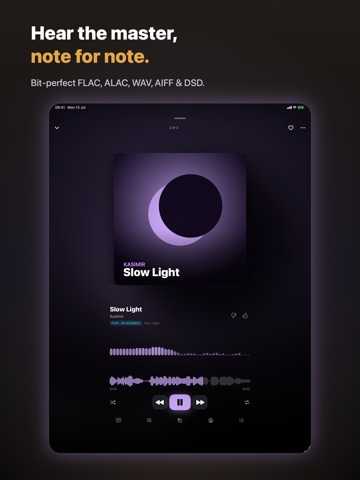 Vivace: Lossless FLAC Player iPad screenshot