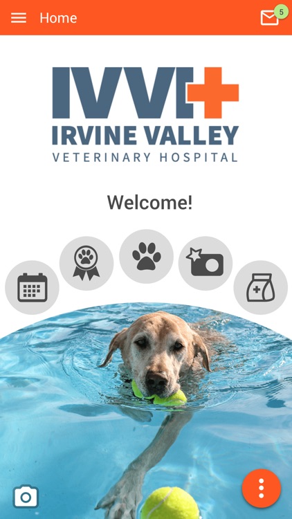 IrvineValleyVet