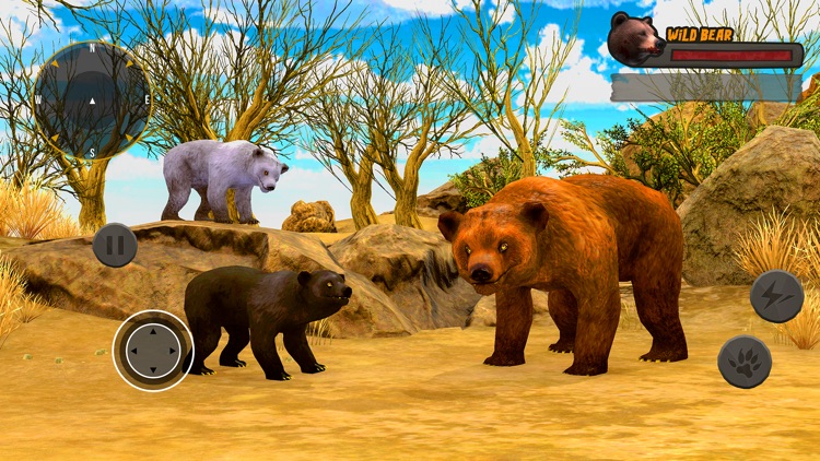 Grizzly Bear Wild Attack