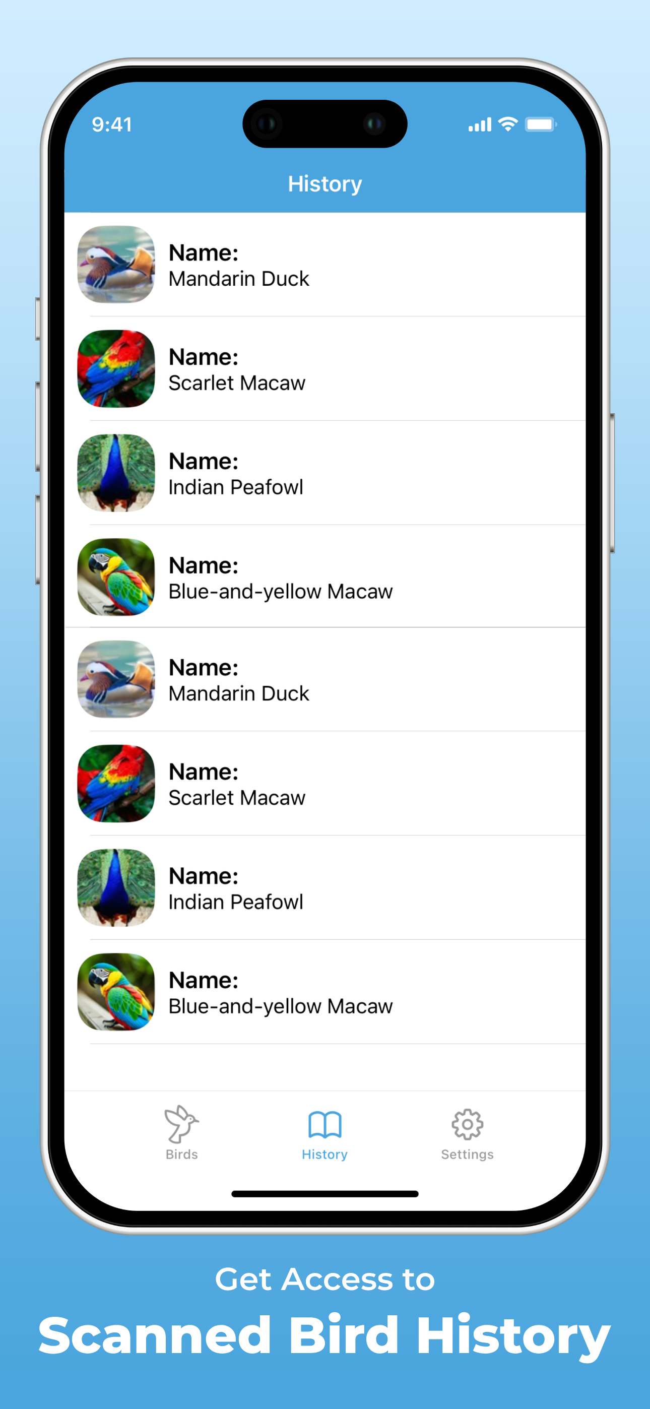 Bird Identifier AI screenshot 4