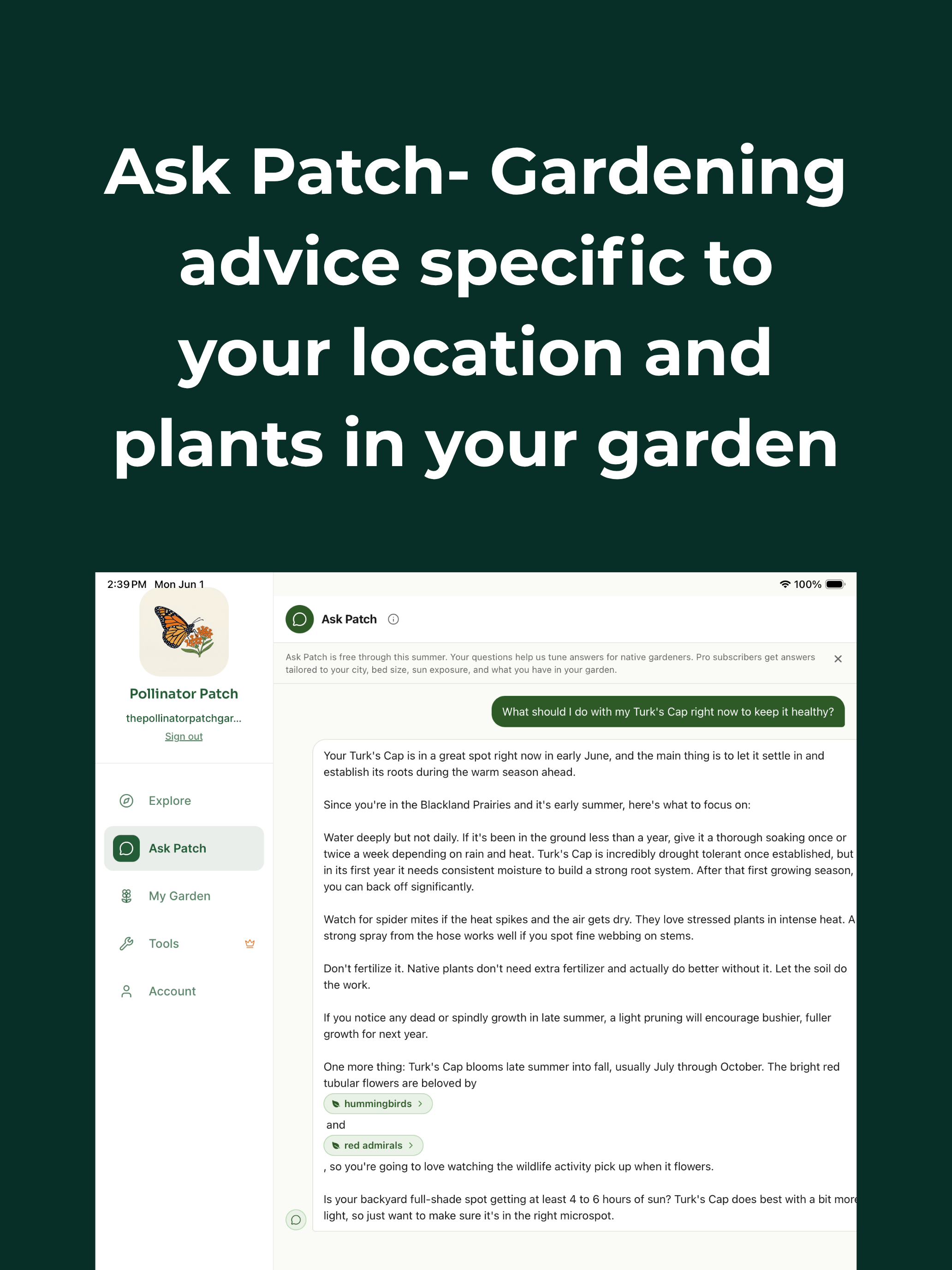 Pollinator Patch: Native Yards screenshot 11