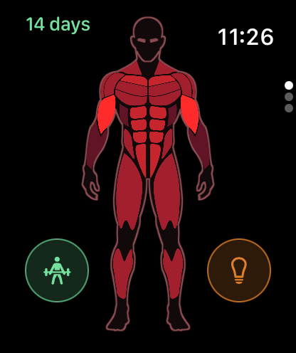 MuscleDial: Muscle Map Tracker screenshot 6