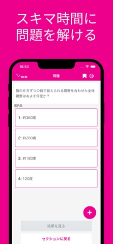 ねこ検定 初級 対策アプリ screenshot