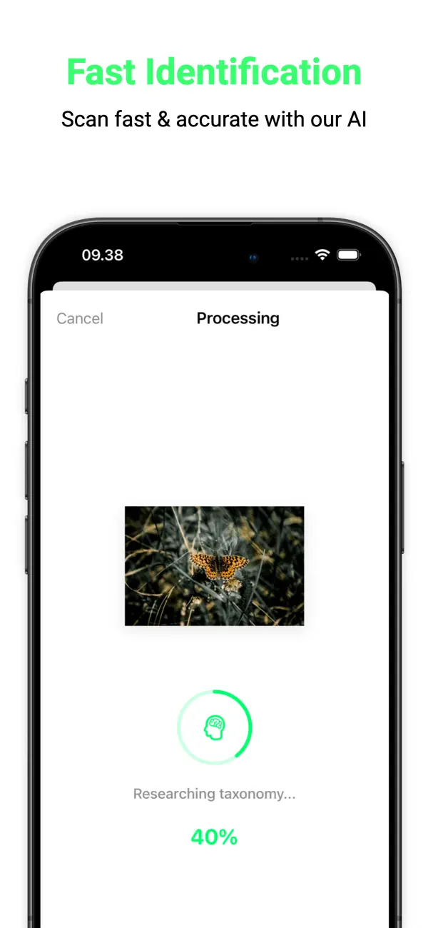 #2. Bug Identifier ◦ Insect ID (iOS) Ved: Ikhwan Noorsetyo