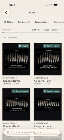 Plumes: Feather Atlas Screenshot 2 of 6