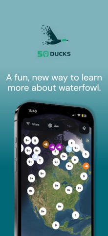 50 Ducks screenshot