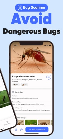 Insect Identifier: InsectGPT Screenshot 2 of 7