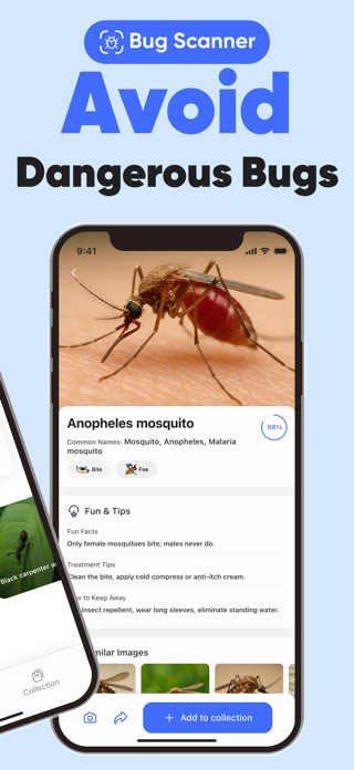 Insect Identifier: InsectGPT Screenshot 2 of 7