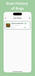 Butterfly Identifier: Photo ID screenshot