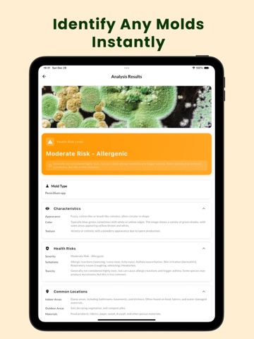 Mold Identifier & Finder Ai iPad screenshot