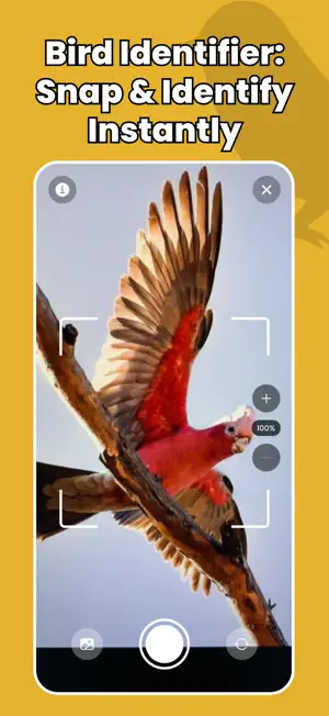 Bird Identifier - Birdify screenshot 1