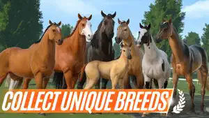 Rival Stars Horse Racing screenshot 3