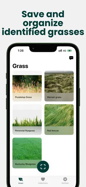 Grass Identifier: Meadlens screenshot 4