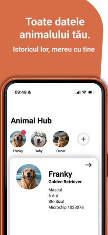 Animalia Booking screenshot