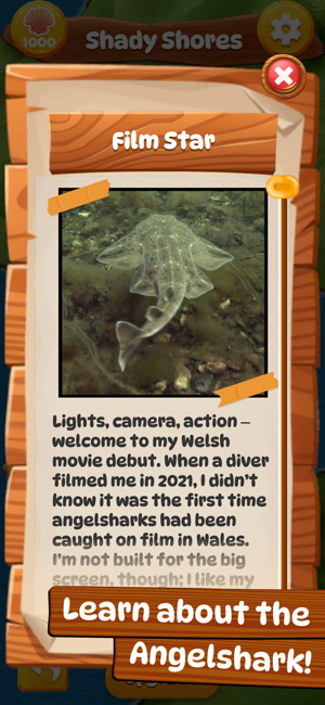 Angelshark: Sea Survival תמונות מסך