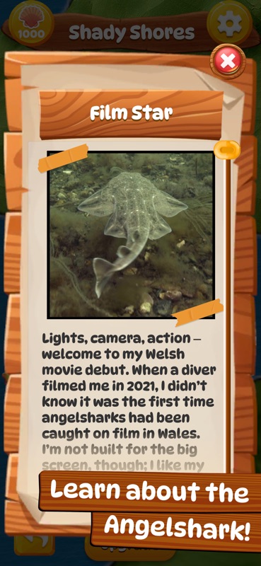 Angelshark: Sea Survival screenshot 1