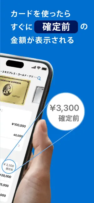 Amex Japan iPhone screenshot 2