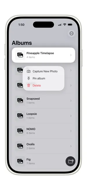 AutoAlbum: snap to your albums screenshot 1