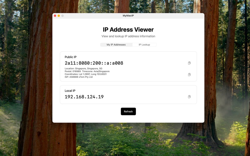 QuickIP app screenshot
