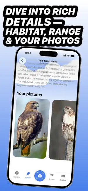 Chirp - Bird Identifier screenshot 4