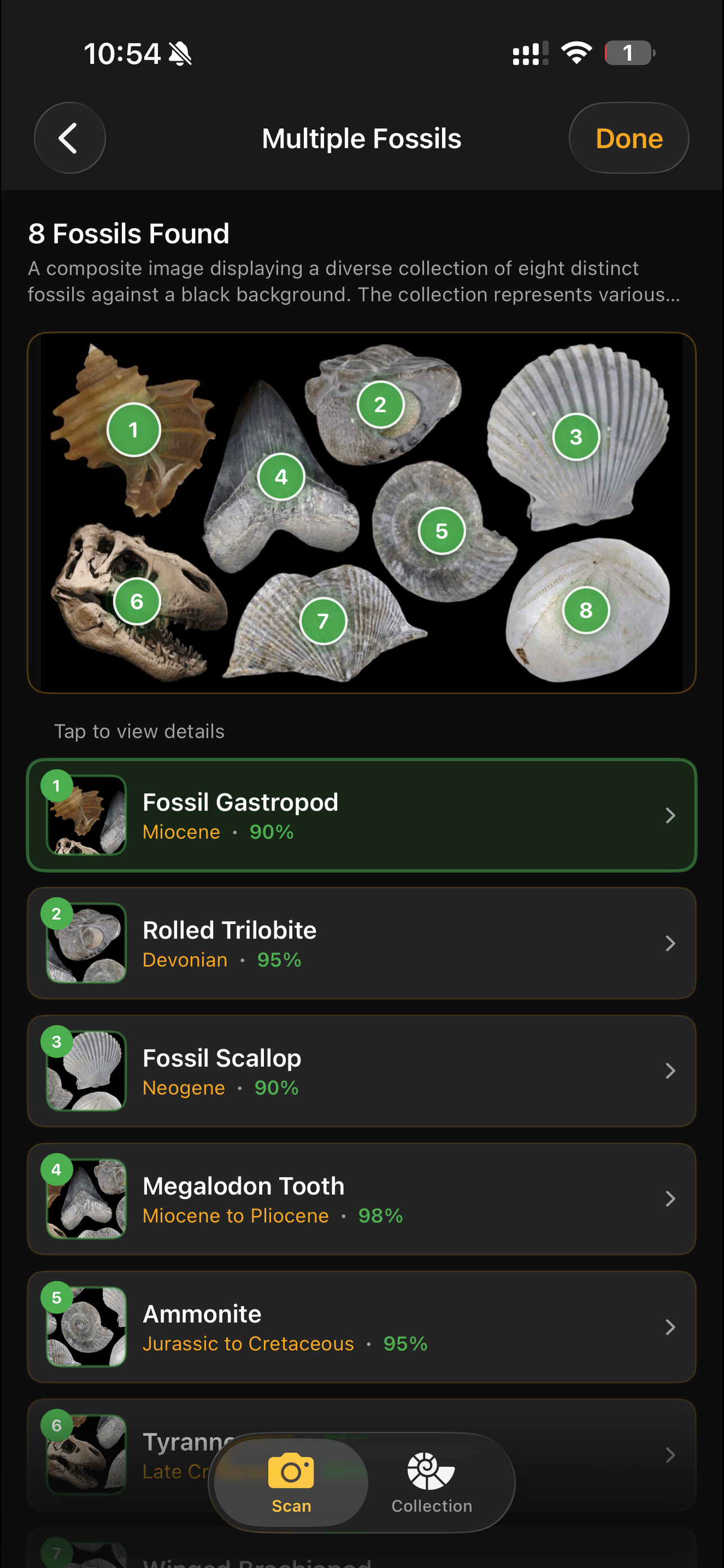 Fossilise screenshot 3