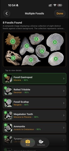 Fossilise Screenshot 3 of 10