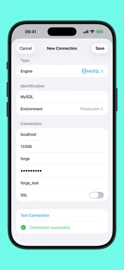 Capture d'écran de Forge Database Manager sur iPhone 2