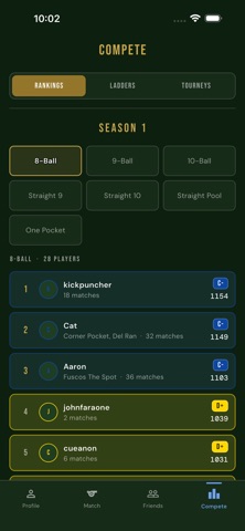 Open Pool League Screenshot 9 of 9