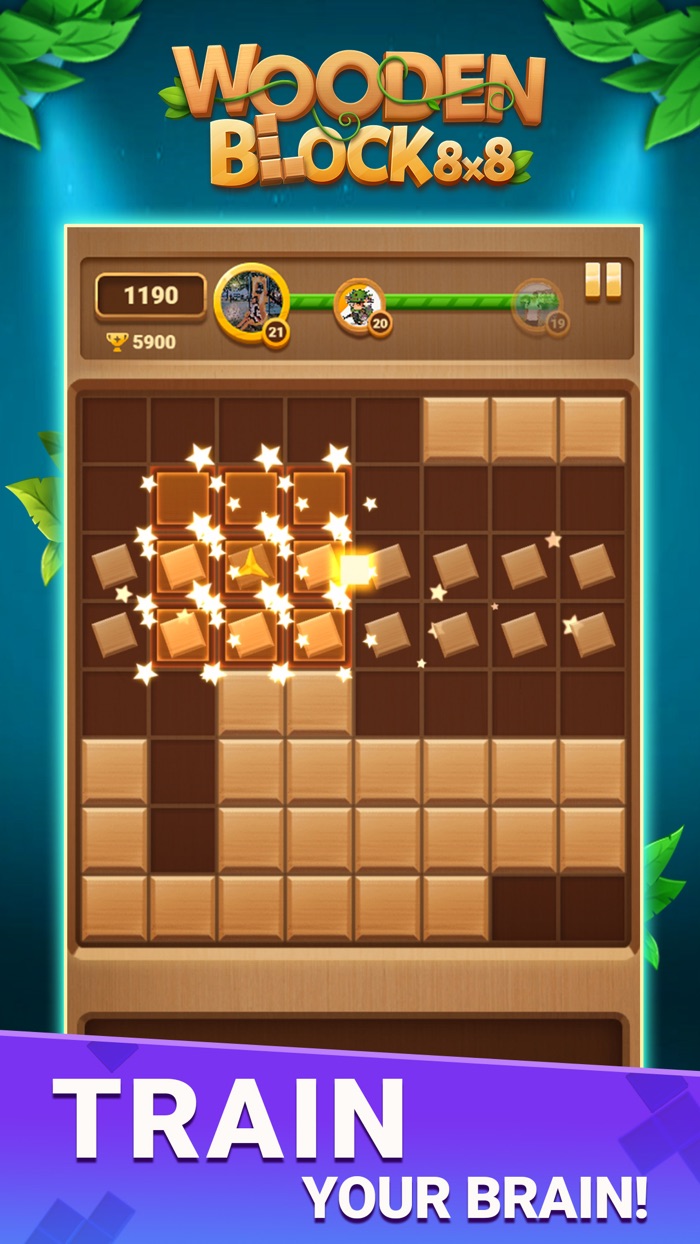 Block Puzzle Wood Block 8x8