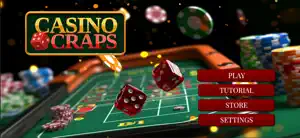 Casino Craps Game screenshot 1
