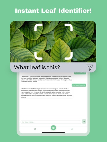 Leaf Identification: Plant ID iPad screenshot