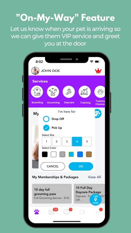 Sublime K9 Training & Boarding