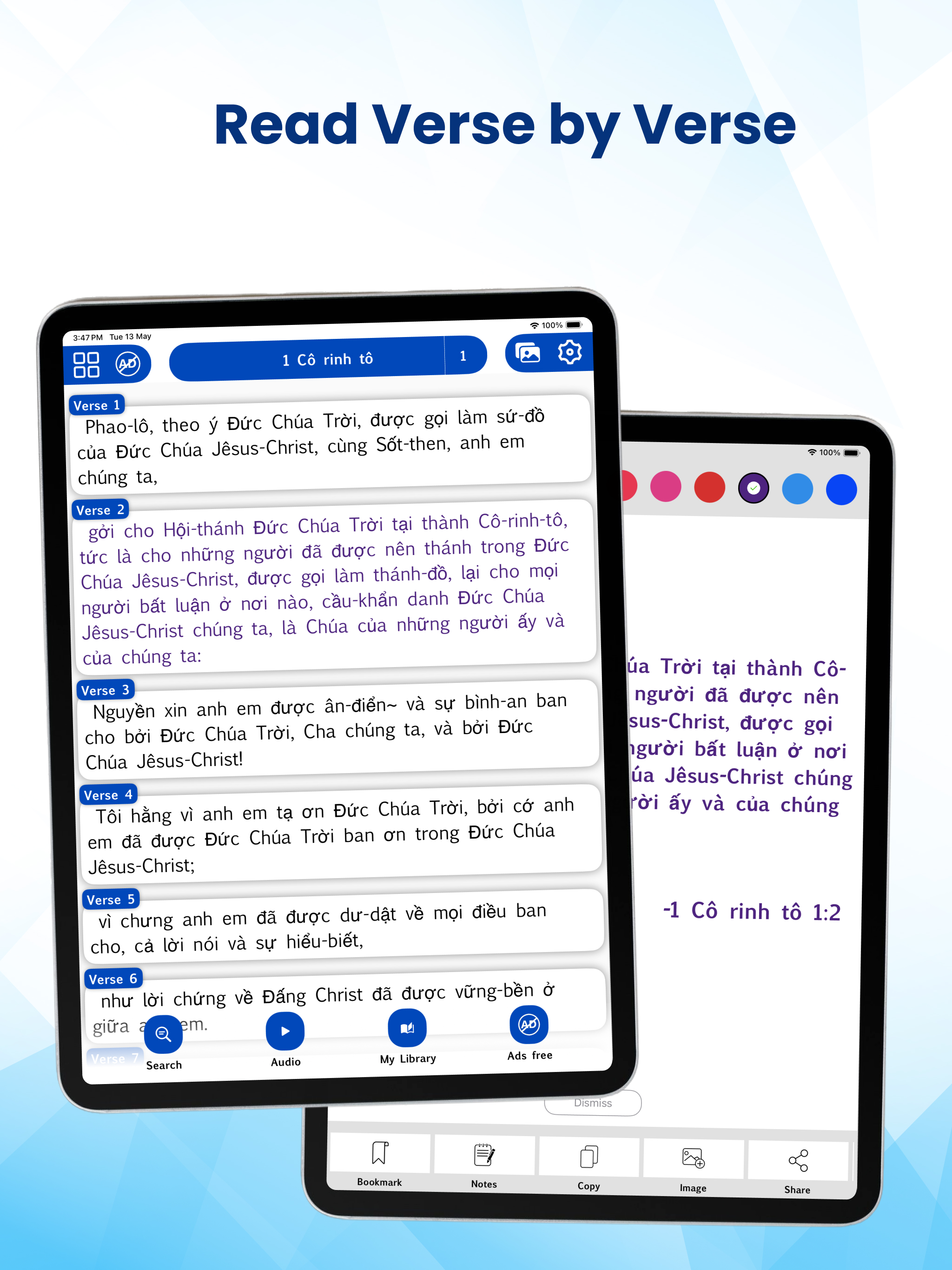 Vietnamese Bible