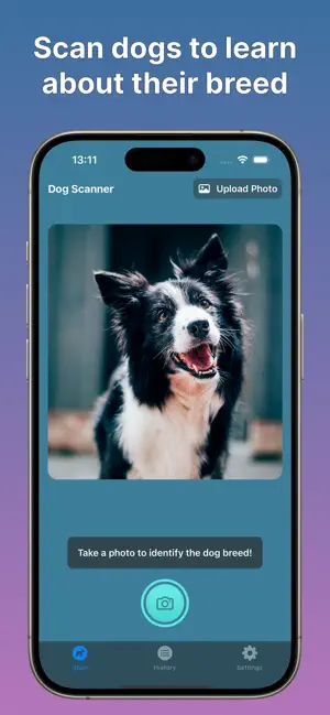 Dog Scanner: Breed Identifier screenshot 1