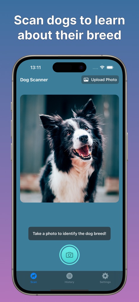 Dog Scanner: Breed Identifier - Utilities App | MWM
