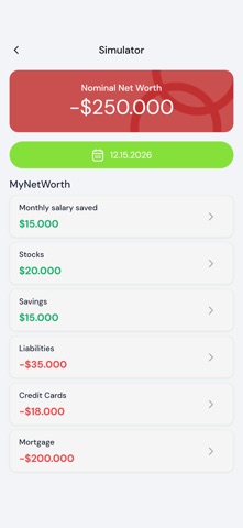 MyOwnNetWorth screenshot